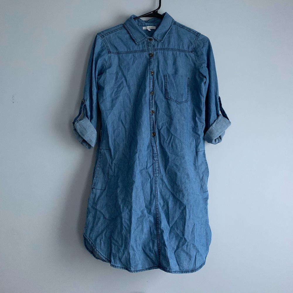 collared button-up dress